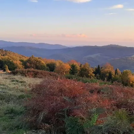 Spokoj W Gorach *