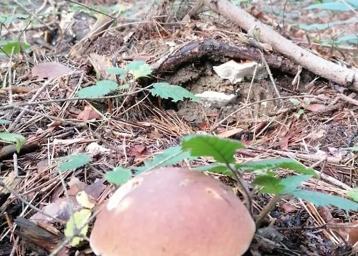 Spokoj W Gorach * Brenna